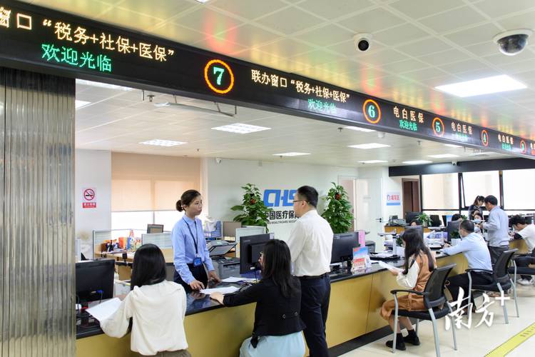 电白实现"税务+社保+医保"22项业务"一窗办"